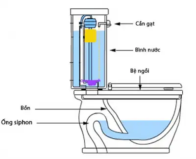 Nhà vệ sinh sạch nhưng vẫn có mùi hôi là do đâu?